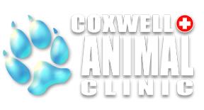 Coxwell Animal Clinic East York (416)423-3042